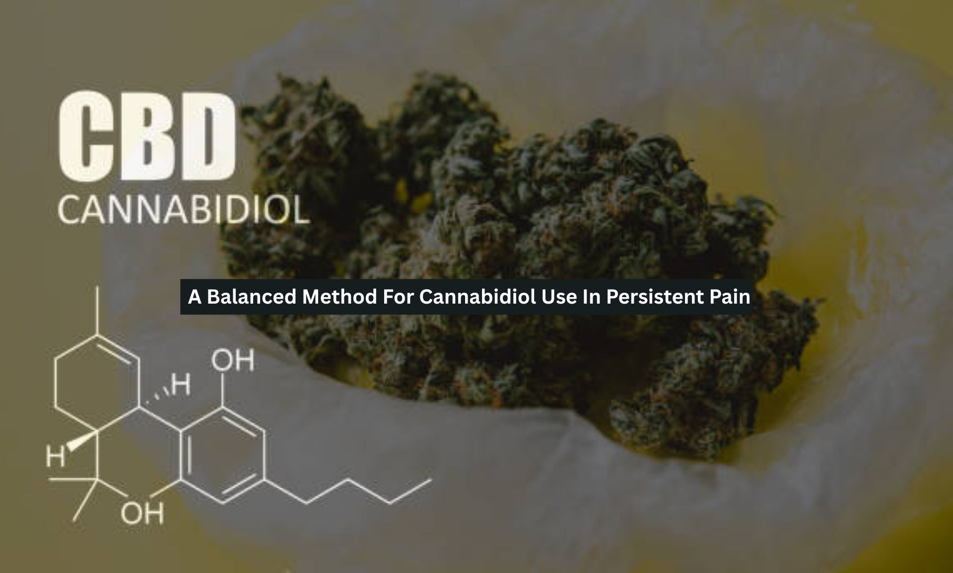 A Balanced Method For Cannabidiol Use In Persistent Pain