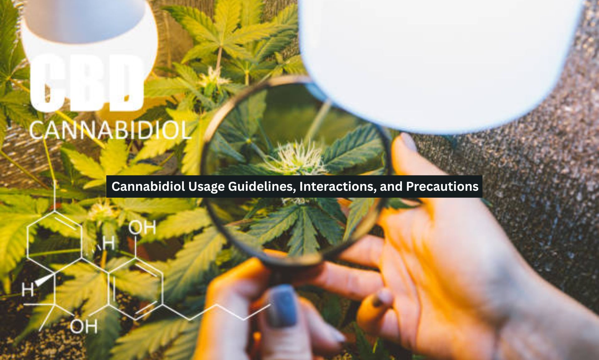 Cannabidiol Usage Guidelines, Interactions, and Precautions