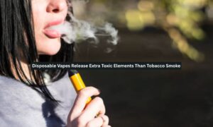 Disposable Vapes