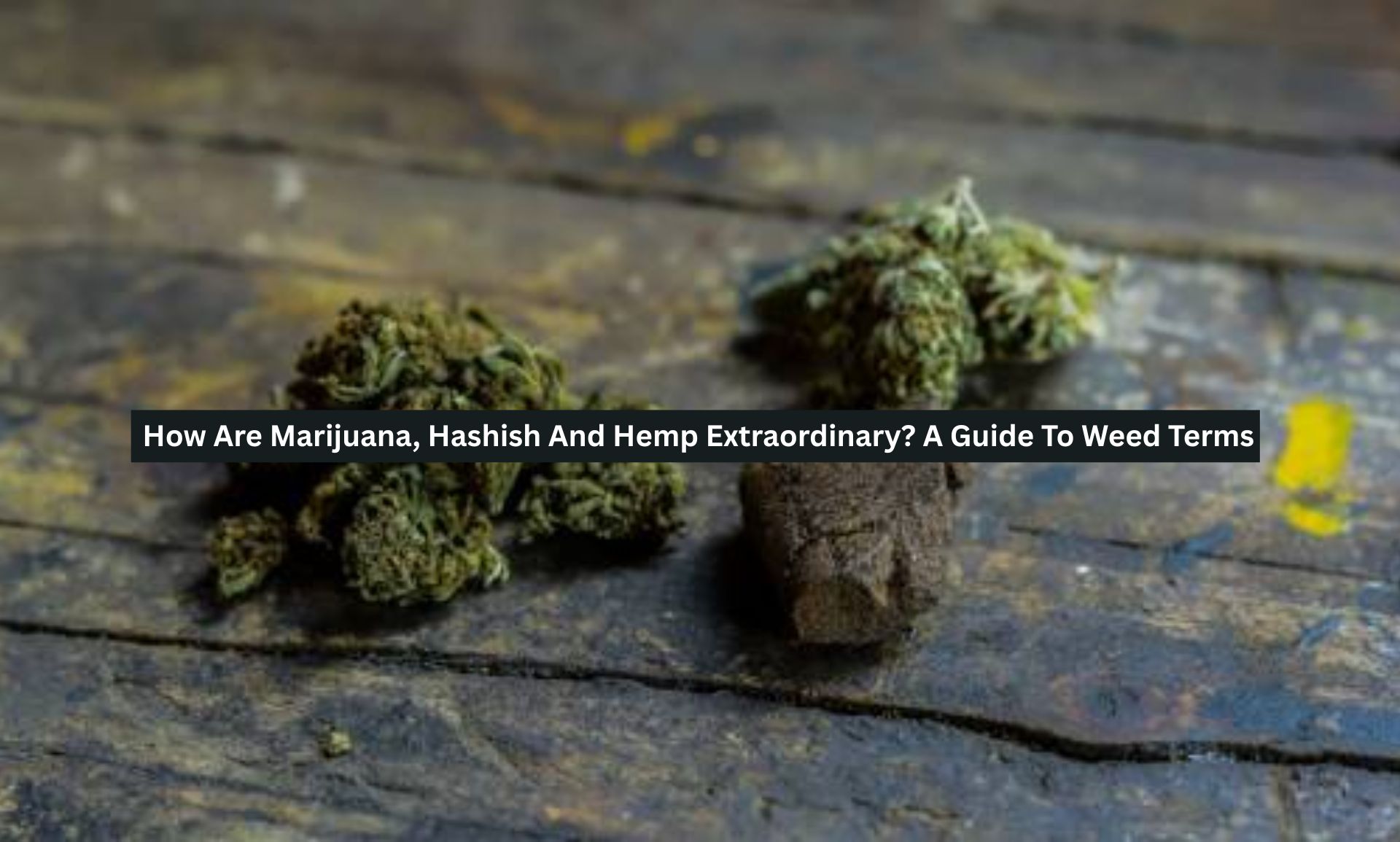 How Are Marijuana, Hashish And Hemp Extraordinary? A Guide To Weed Terms