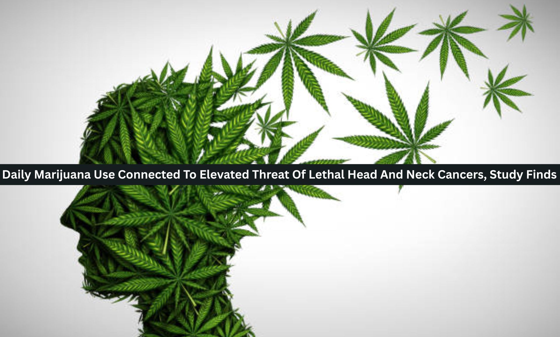 Daily Marijuana Use Connected To Elevated Threat Of Lethal Head And Neck Cancers, Study Finds